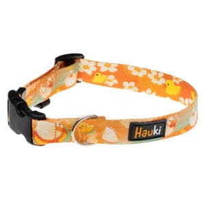 obroża dla małego psa