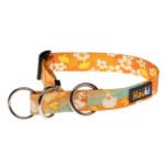 Obroża półzaciskowa