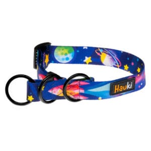 Obroża dla psa który ciągnie