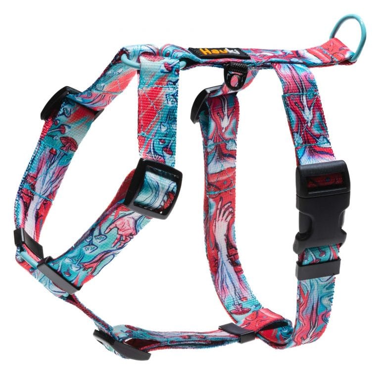 Kolorowe szelki dla psa