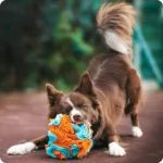 Pies bawiący się małą kulą węchową, we wzorze Konik Morski