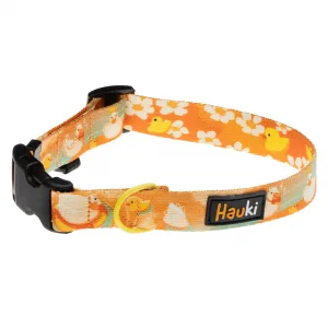 obroża dla małego psa