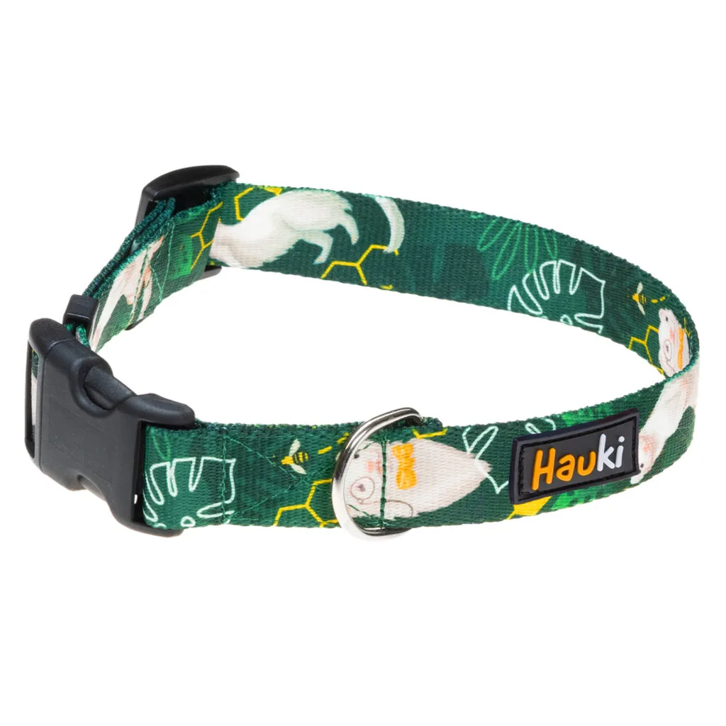 klasyczna obroża dla psa