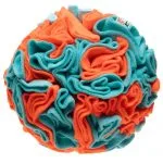 Kula węchowa dla psa