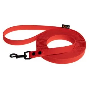 Linka treningowa dla dużego psa